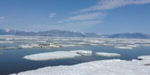 Tasiujaq