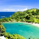 Avior Airlines Trinidad Office in Caribbean