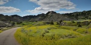 Glendive