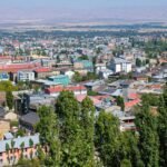 Muş