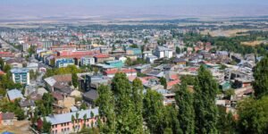 Muş