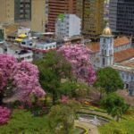 Ibague
