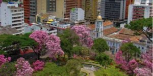 Ibague