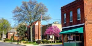 Ferguson