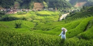 Sapa