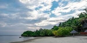 Mafia Island