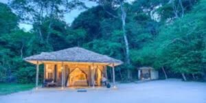 Rubondo Island