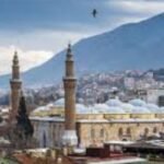 Bursa