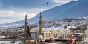 Bursa