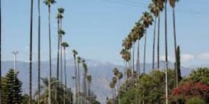 Covina