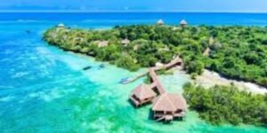 Diani