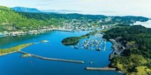 Kodiak