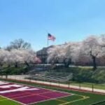 Nutley
