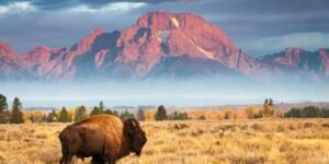 Wyoming