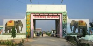 Mansa