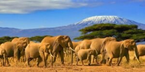 Tanzania