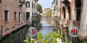 Treviso