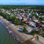 Cedros