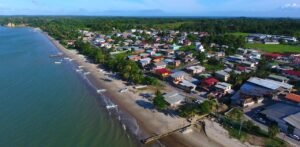 Cedros