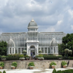 Atlanta