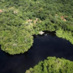 Alta Floresta