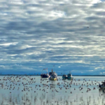 Nelson Lagoon