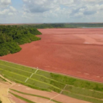 Paragominas