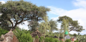 Rundu