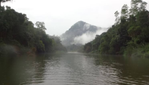 Kitulgala