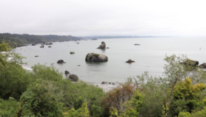 McKinleyville