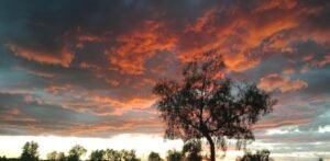 Biloela